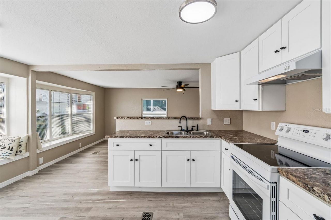 823 Elkan Drive, Tarpon Springs, FL 34689 Photo