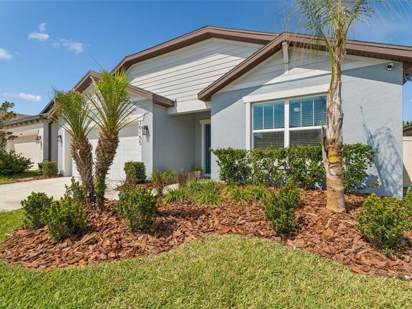 30155 MERILEE PLACE , WESLEY CHAPEL, FL 33545