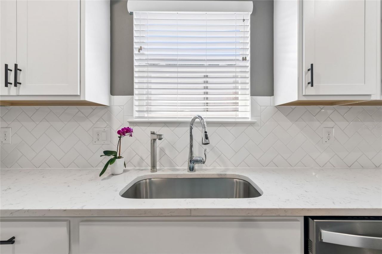 30155 Merilee Place , Wesley Chapel, FL 33545 Photo