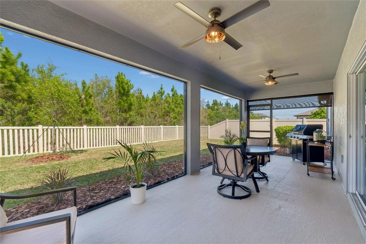 30155 Merilee Place , Wesley Chapel, FL 33545 Photo