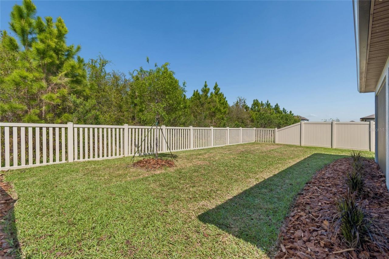 30155 Merilee Place , Wesley Chapel, FL 33545 Photo