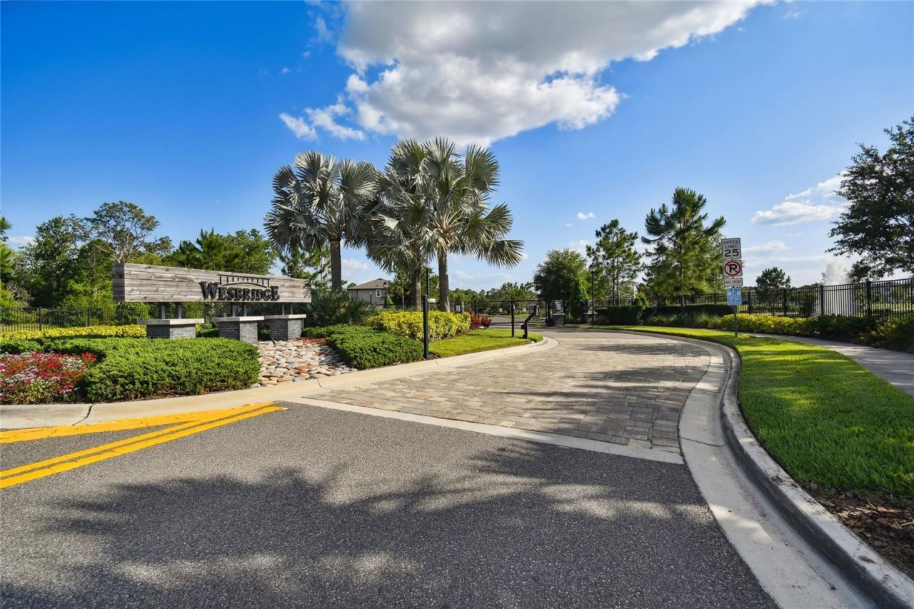 30155 Merilee Place , Wesley Chapel, FL 33545 Photo