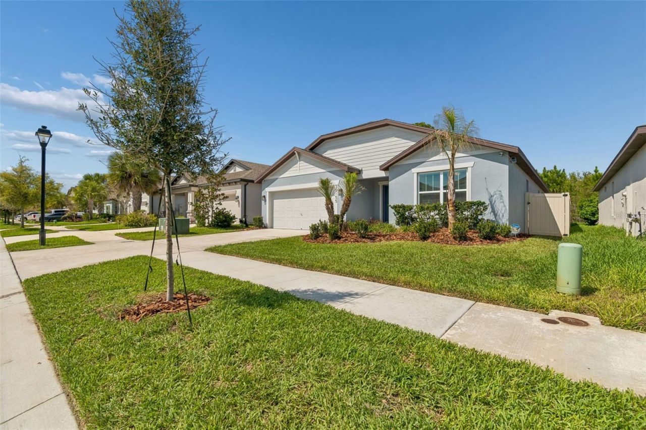 30155 Merilee Place , Wesley Chapel, FL 33545 Photo