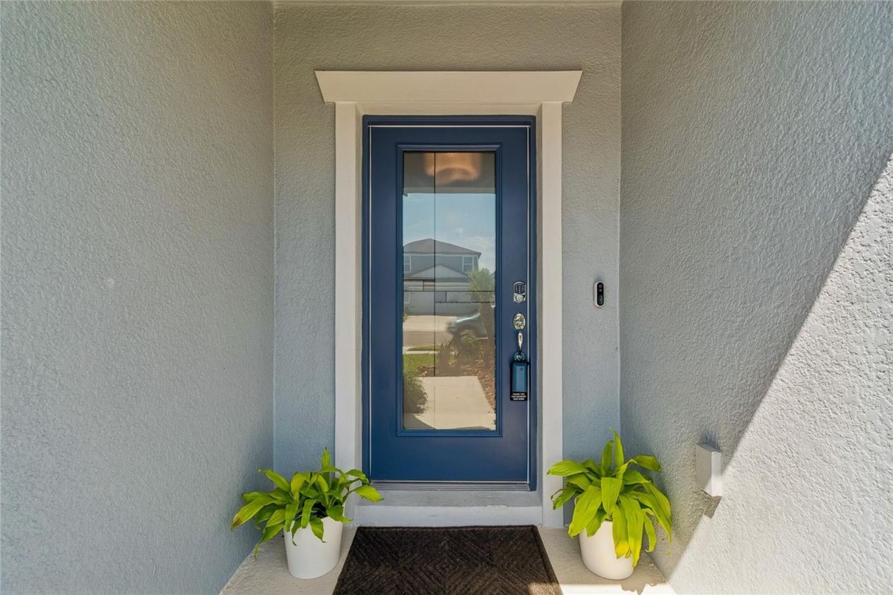 30155 Merilee Place , Wesley Chapel, FL 33545 Photo