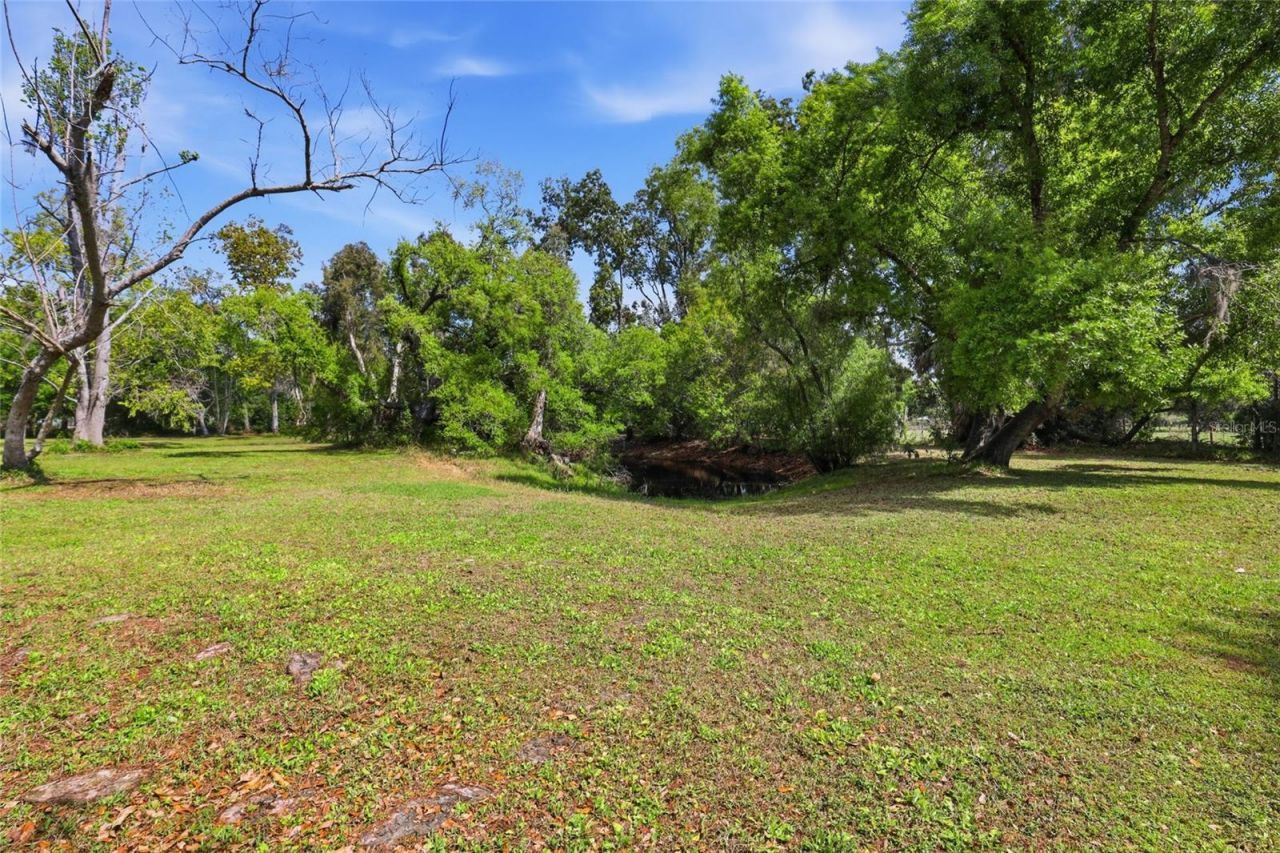 7336 Curlew Street, Sarasota, FL 34241 Photo