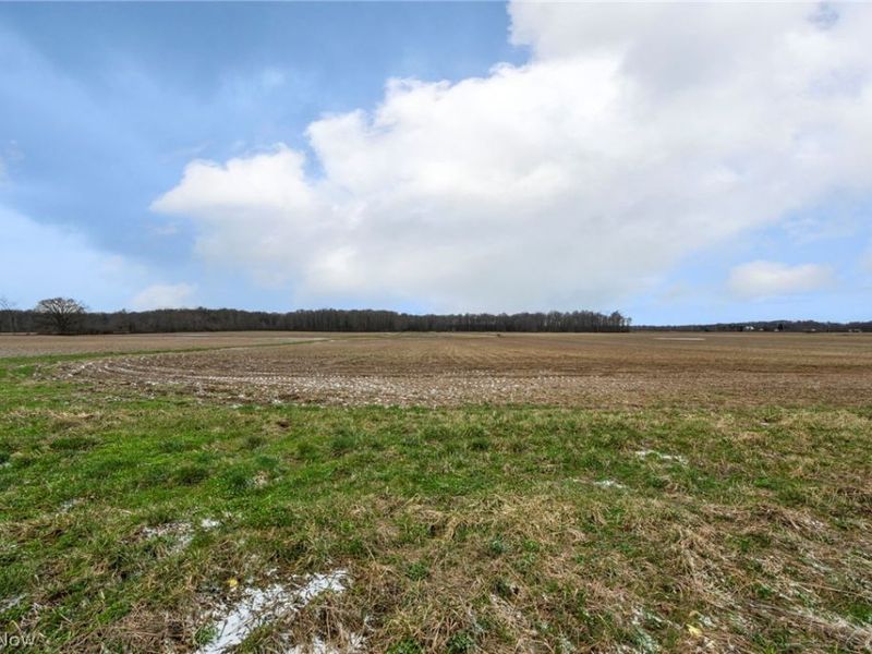 14768 Whitehead Road, Lagrange, OH 44050 Photo 39