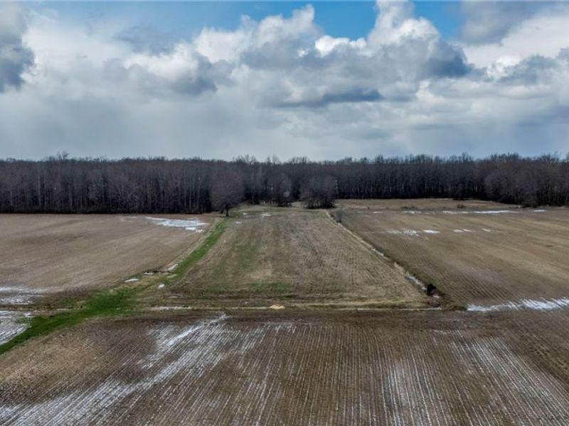 14768 Whitehead Road, Lagrange, OH 44050 Photo 44