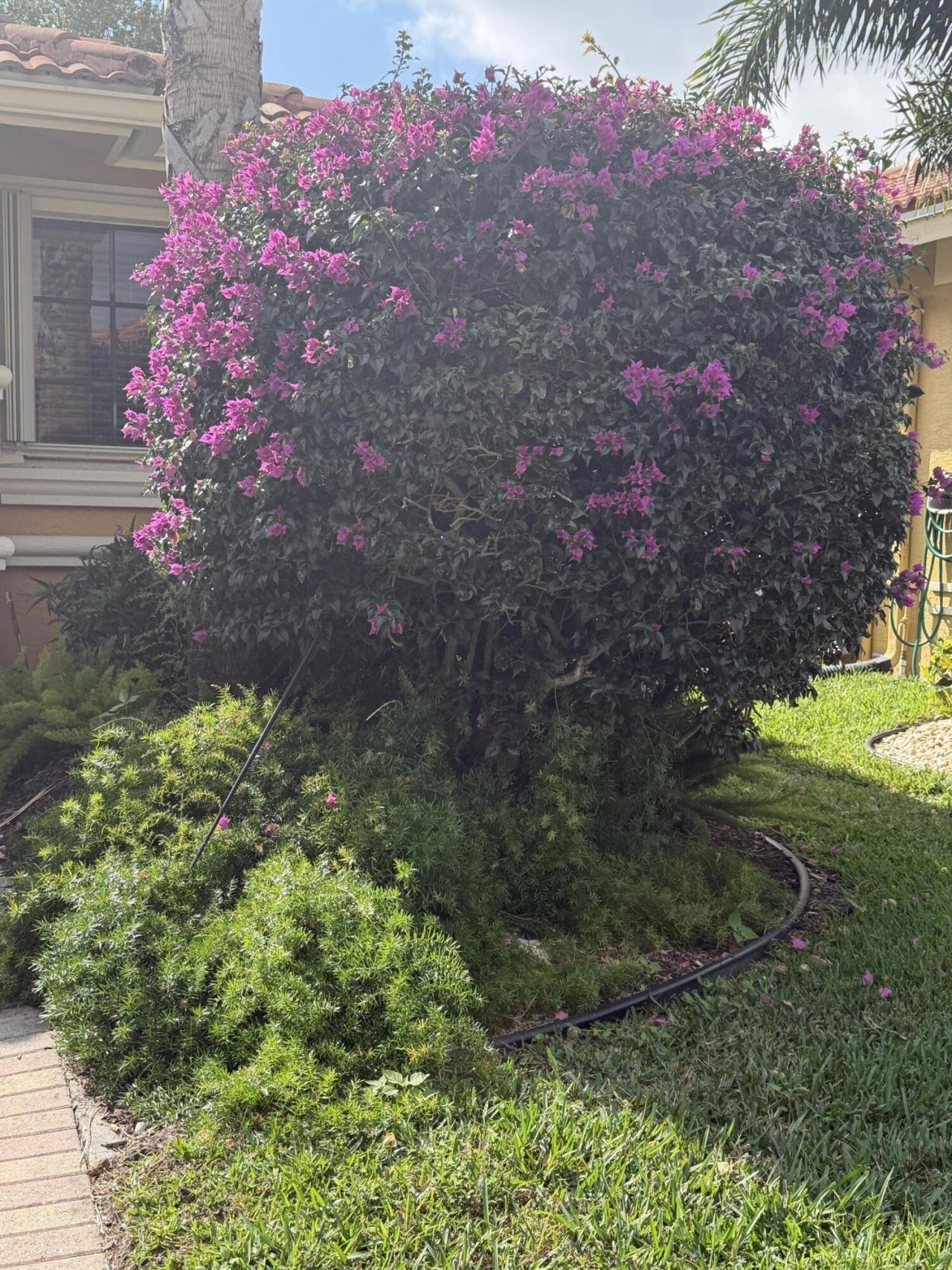 6923 Antinori Lane, Boynton Beach, FL 33437 Photo