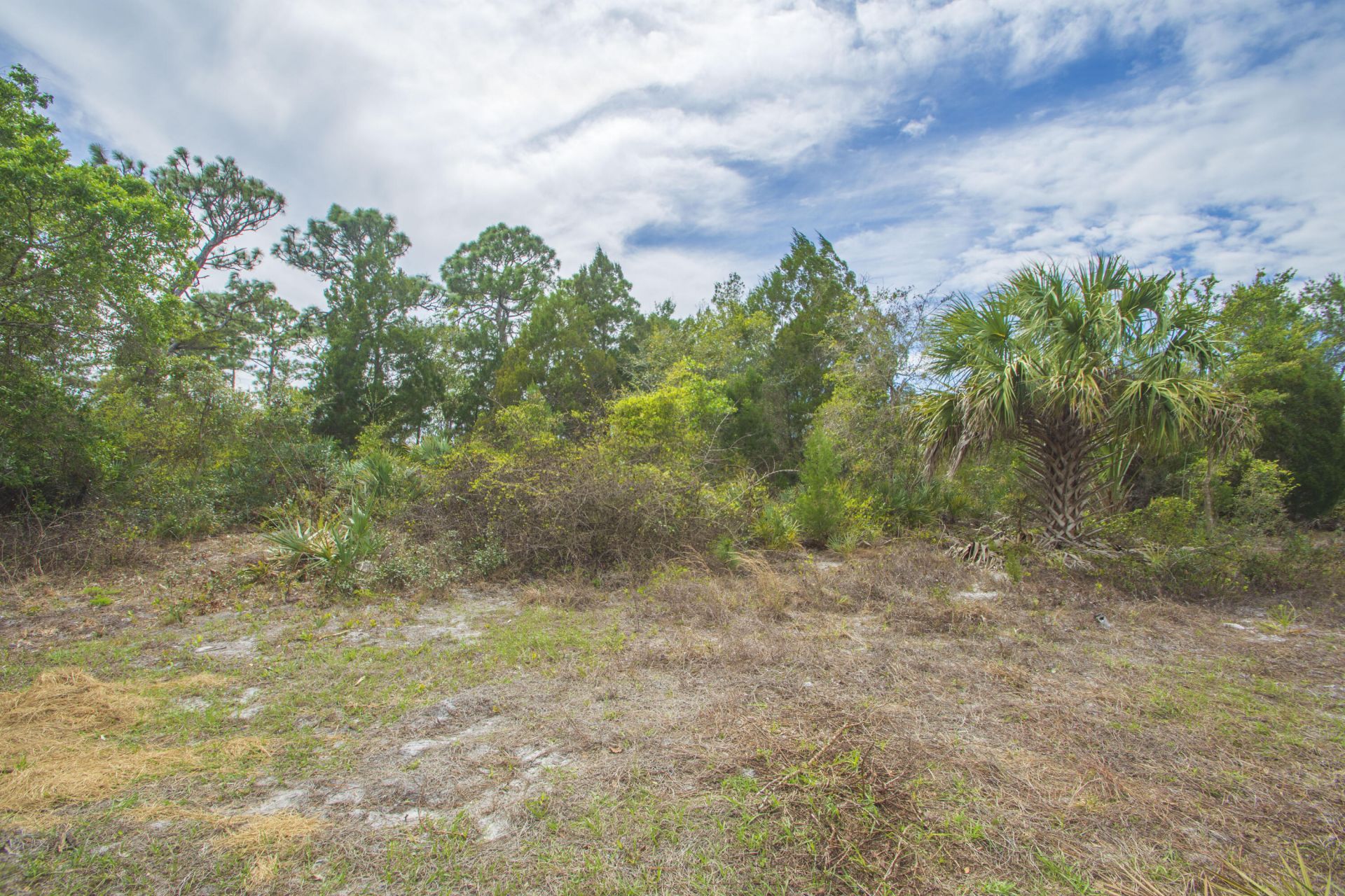 8065 126th Street, Sebastian, FL 32958 Photo