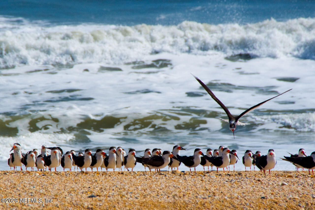 125 Island Hammock Way, Saint Augustine Beach, FL 32080 Photo