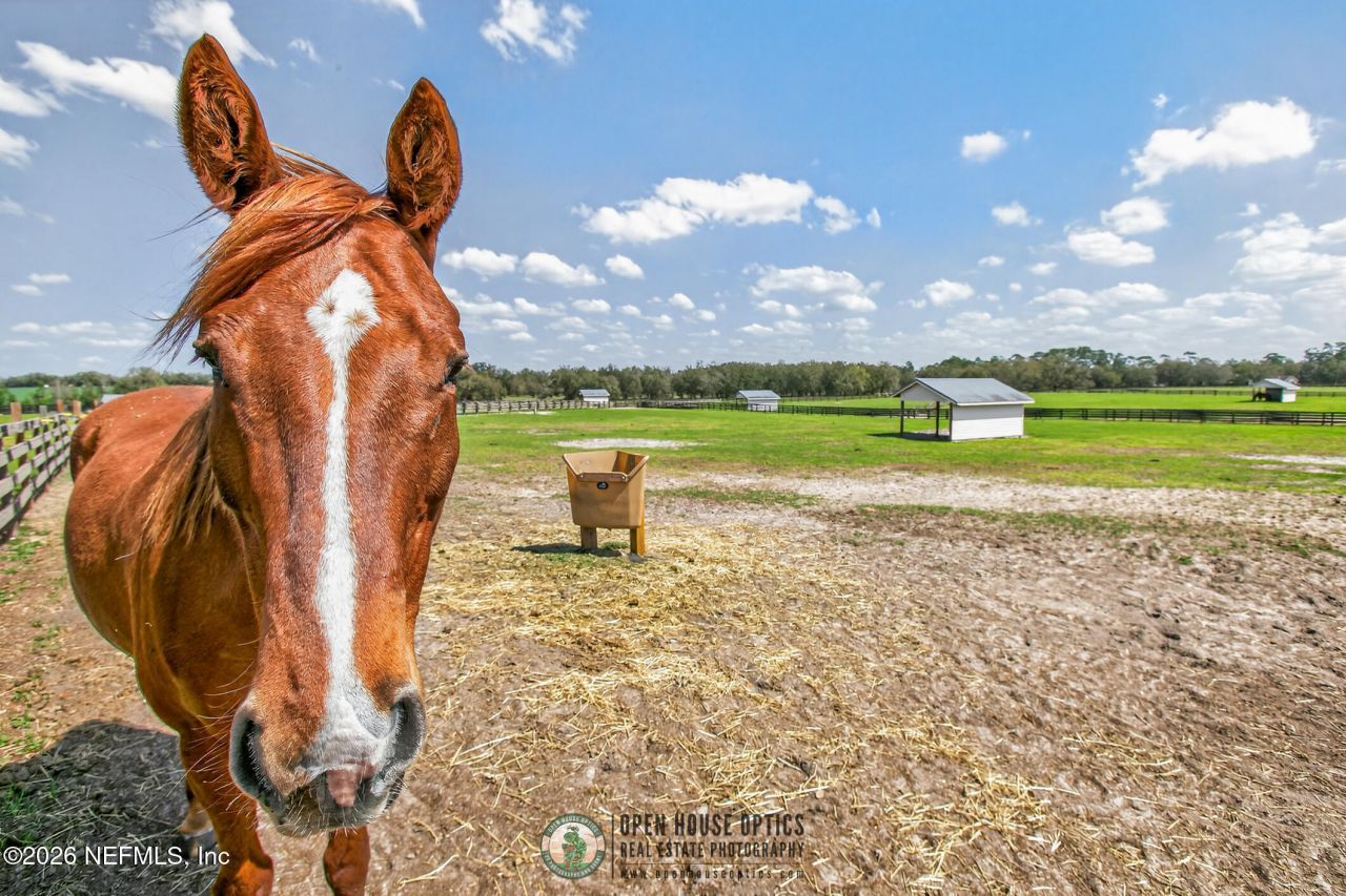 1000 SW Mandiba Drive Drive, Lake City, FL 32024 Photo