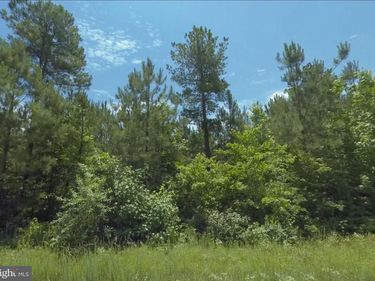 Lot 6 DILLARD RD , LAWRENCEVILLE, VA 23868