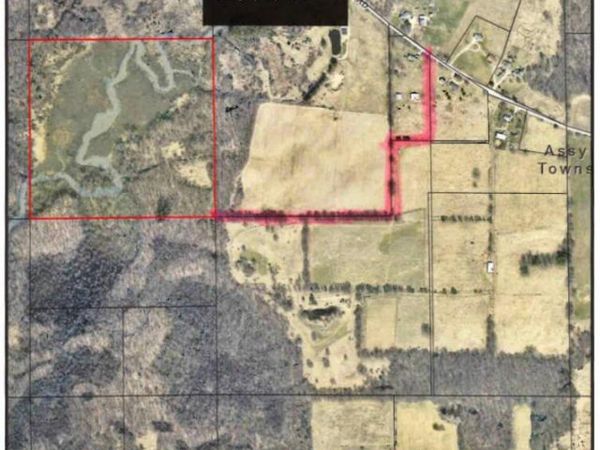 Approx Jones Road, Bellevue, MI 49021