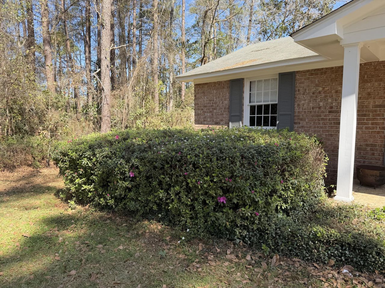 206 Sangaree Road Photo 9