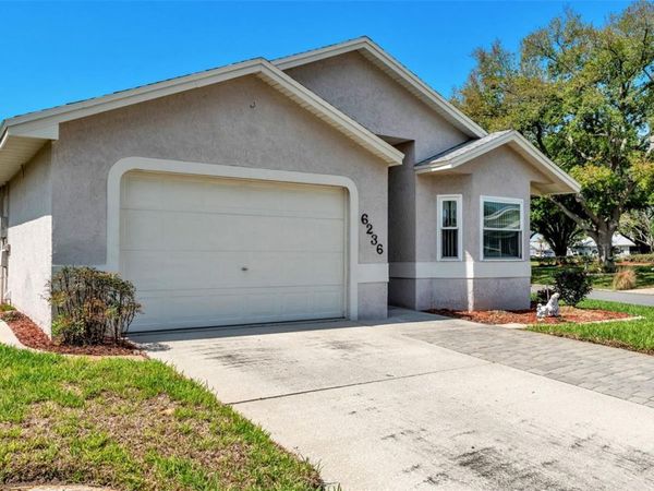 6236 RAVEN RUN , LAKELAND, FL 33809