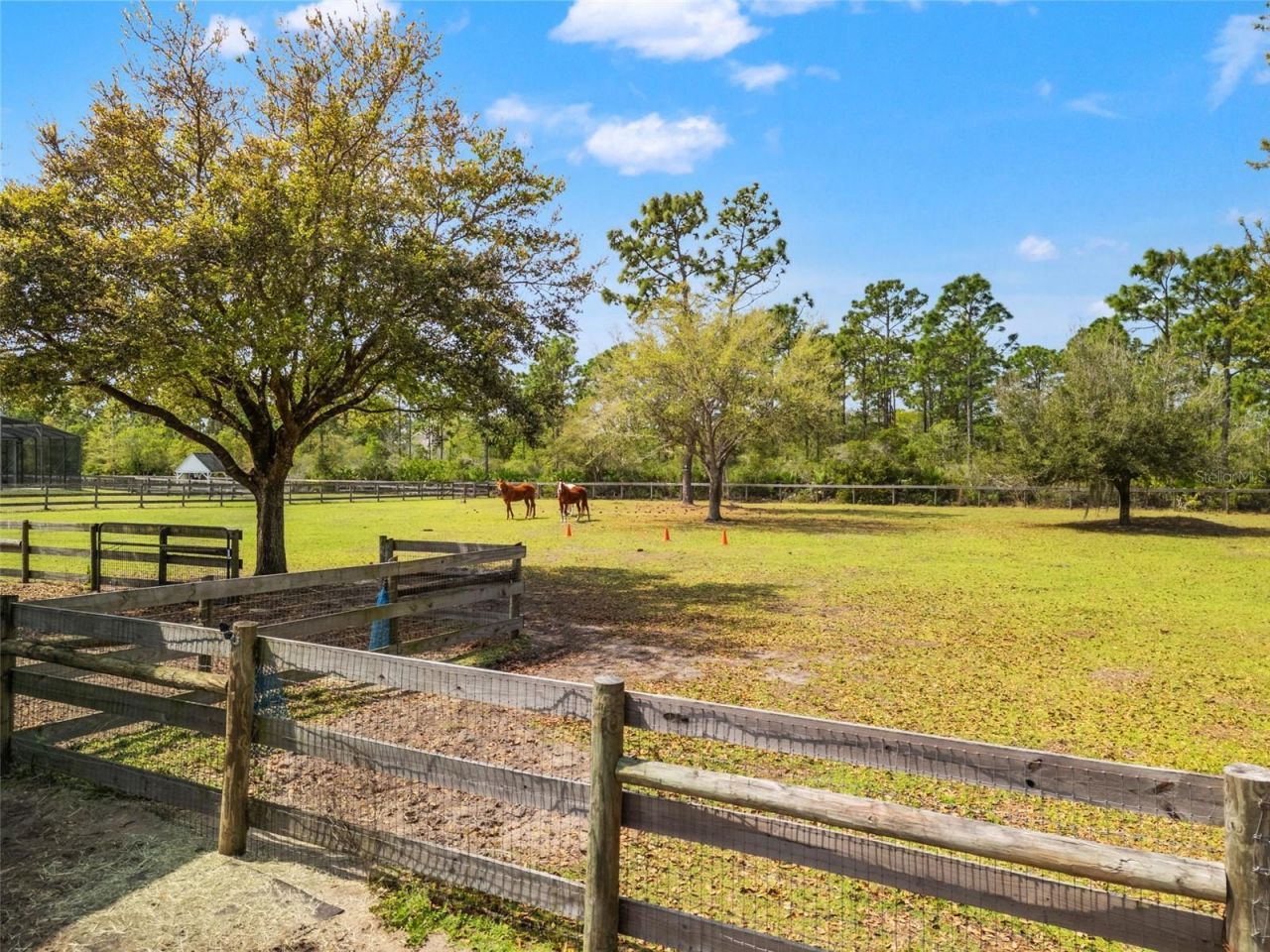 20813 Peabody Street, Orlando, FL 32833 Photo