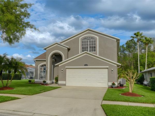 13106 ROYAL GEORGE AVENUE, ODESSA, FL 33556