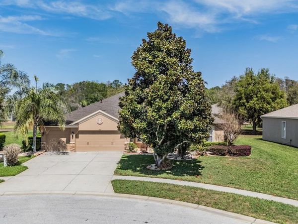 19101 LONE CREEK COURT, LAND O LAKES, FL 34638
