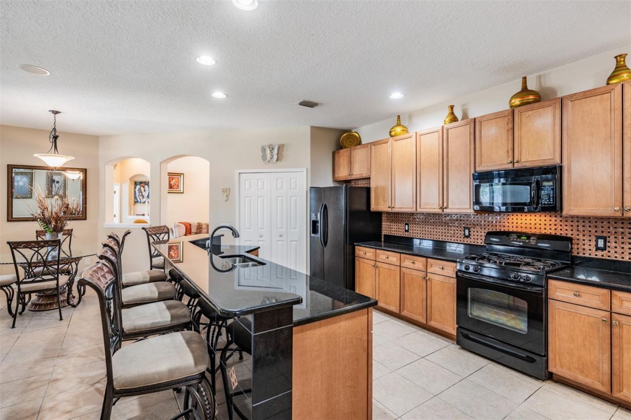 19101 Lone Creek Court , Land O Lakes, FL 34638 Photo