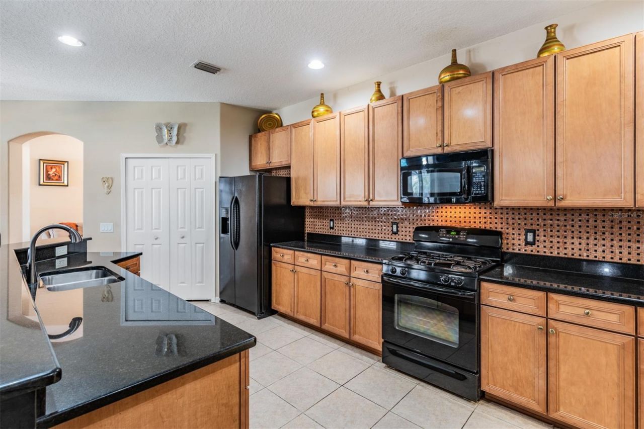 19101 Lone Creek Court , Land O Lakes, FL 34638 Photo