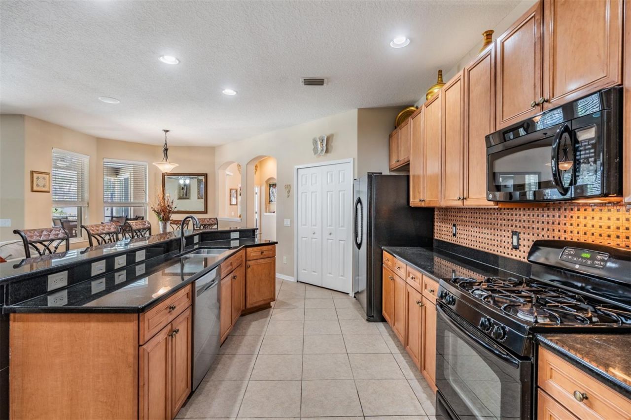 19101 Lone Creek Court , Land O Lakes, FL 34638 Photo