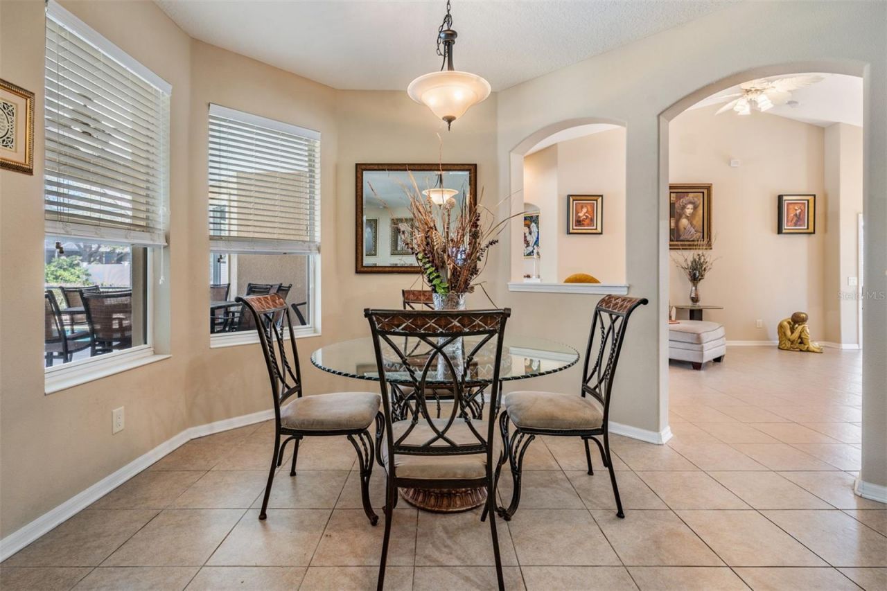 19101 Lone Creek Court , Land O Lakes, FL 34638 Photo