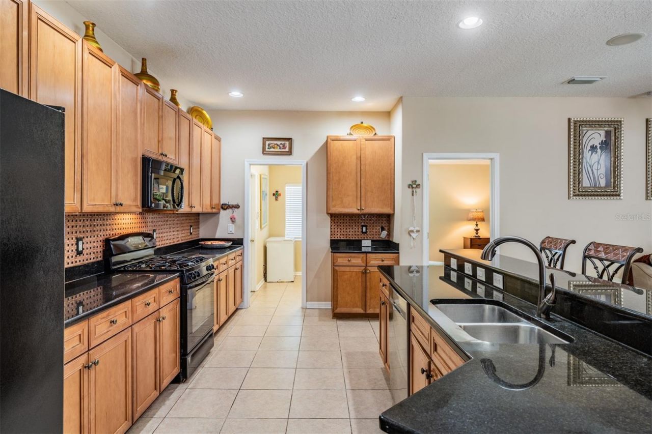 19101 Lone Creek Court , Land O Lakes, FL 34638 Photo