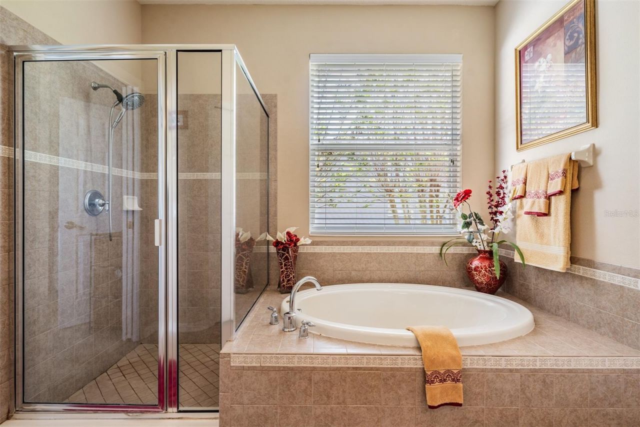 19101 Lone Creek Court , Land O Lakes, FL 34638 Photo