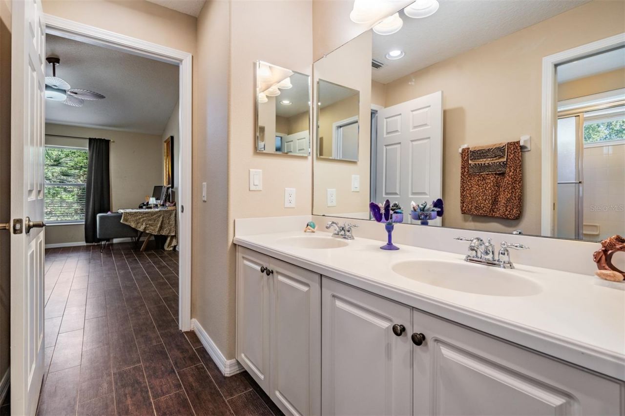 19101 Lone Creek Court , Land O Lakes, FL 34638 Photo