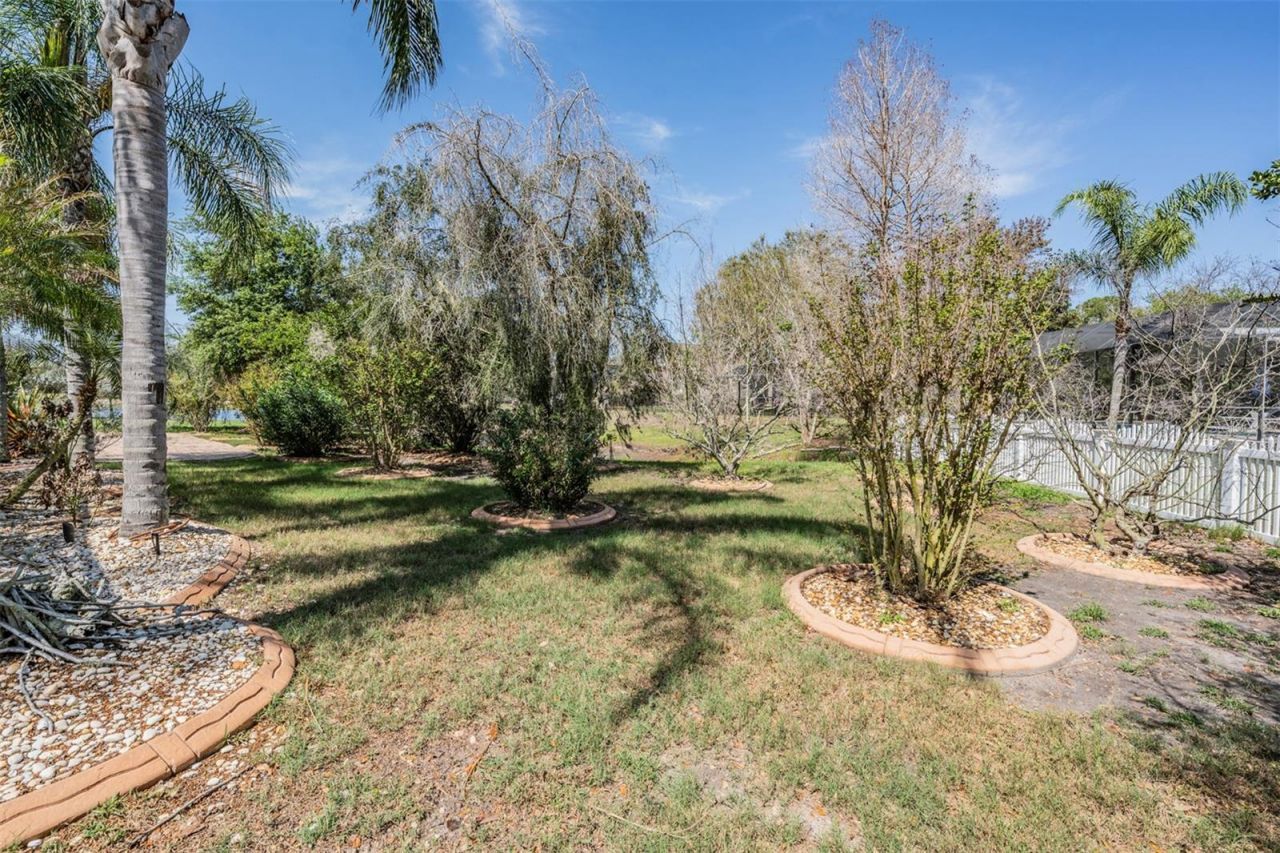 19101 Lone Creek Court , Land O Lakes, FL 34638 Photo