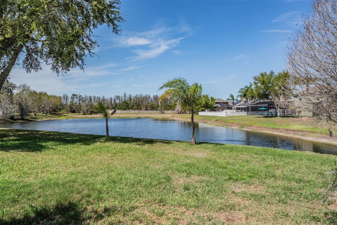 19101 Lone Creek Court , Land O Lakes, FL 34638 Photo