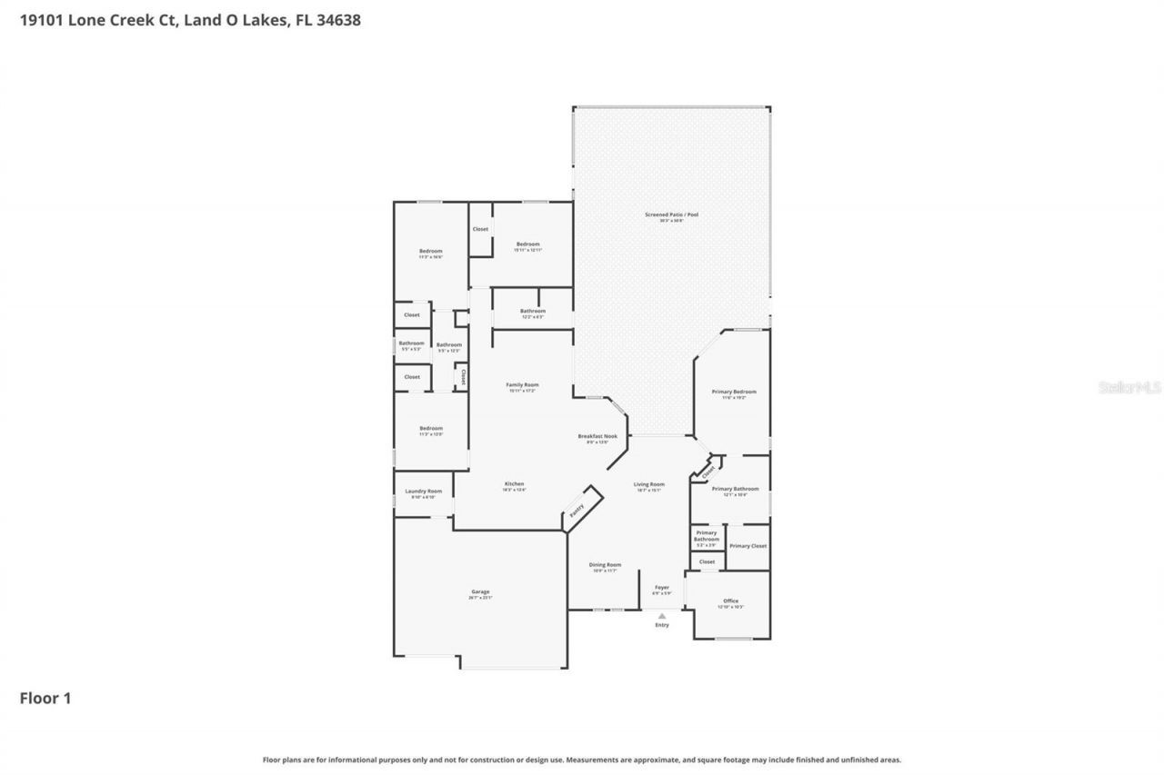 19101 Lone Creek Court , Land O Lakes, FL 34638 Photo