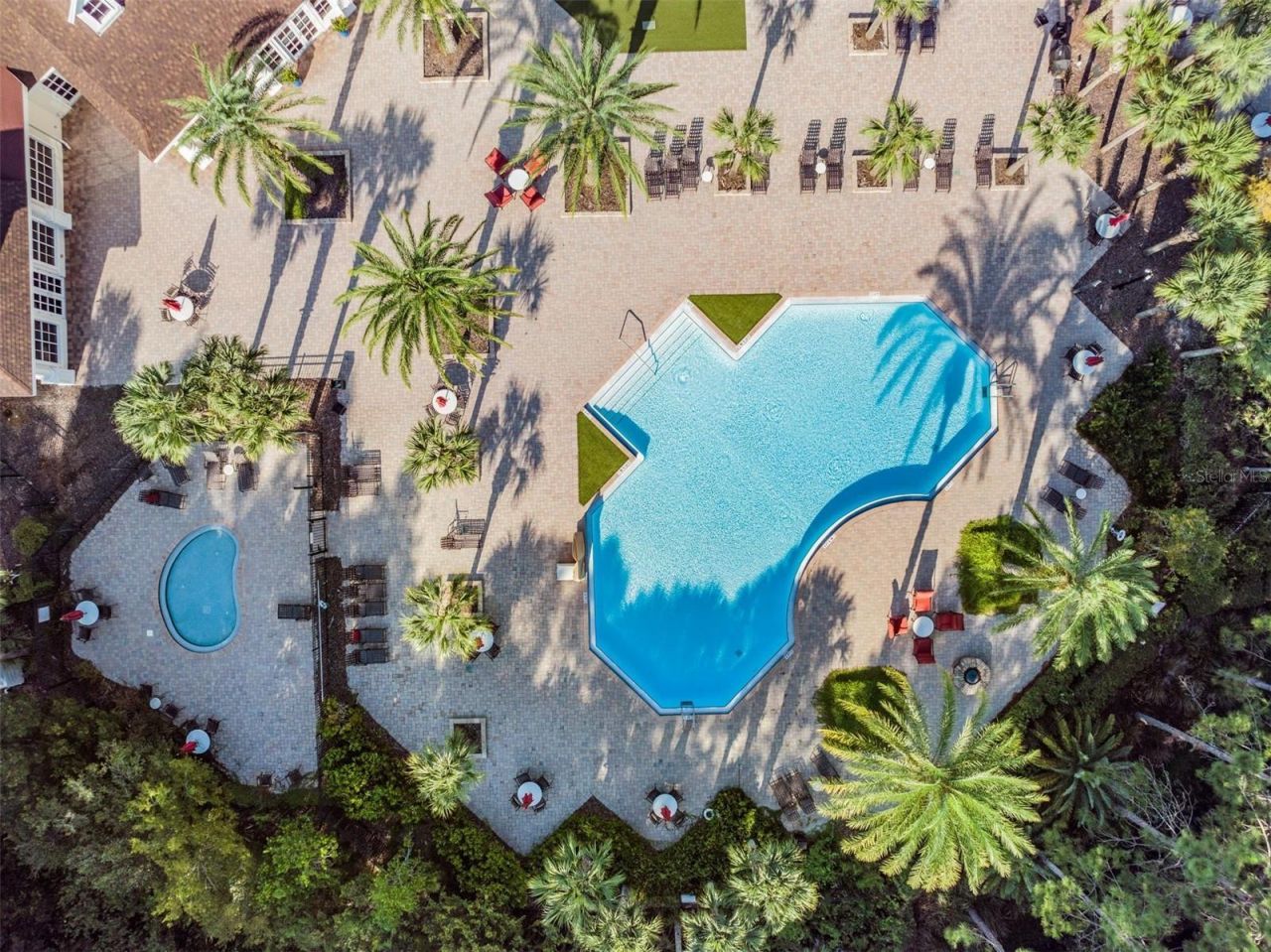 19101 Lone Creek Court , Land O Lakes, FL 34638 Photo