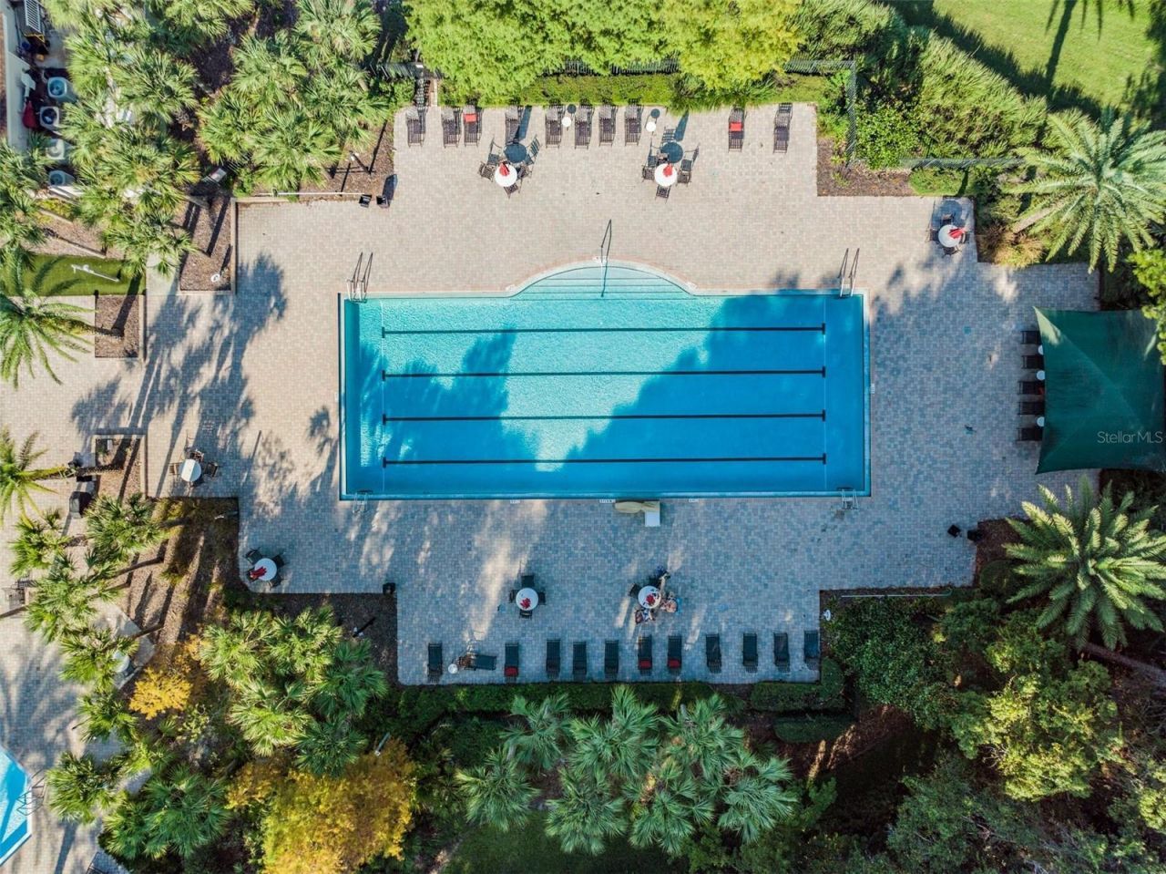 19101 Lone Creek Court , Land O Lakes, FL 34638 Photo