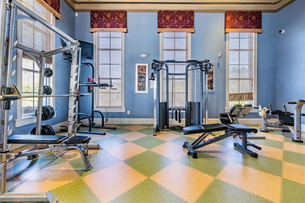 19101 Lone Creek Court , Land O Lakes, FL 34638 Photo