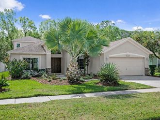 8263 SWANN HOLLOW DRIVE Tampa, FL 33647