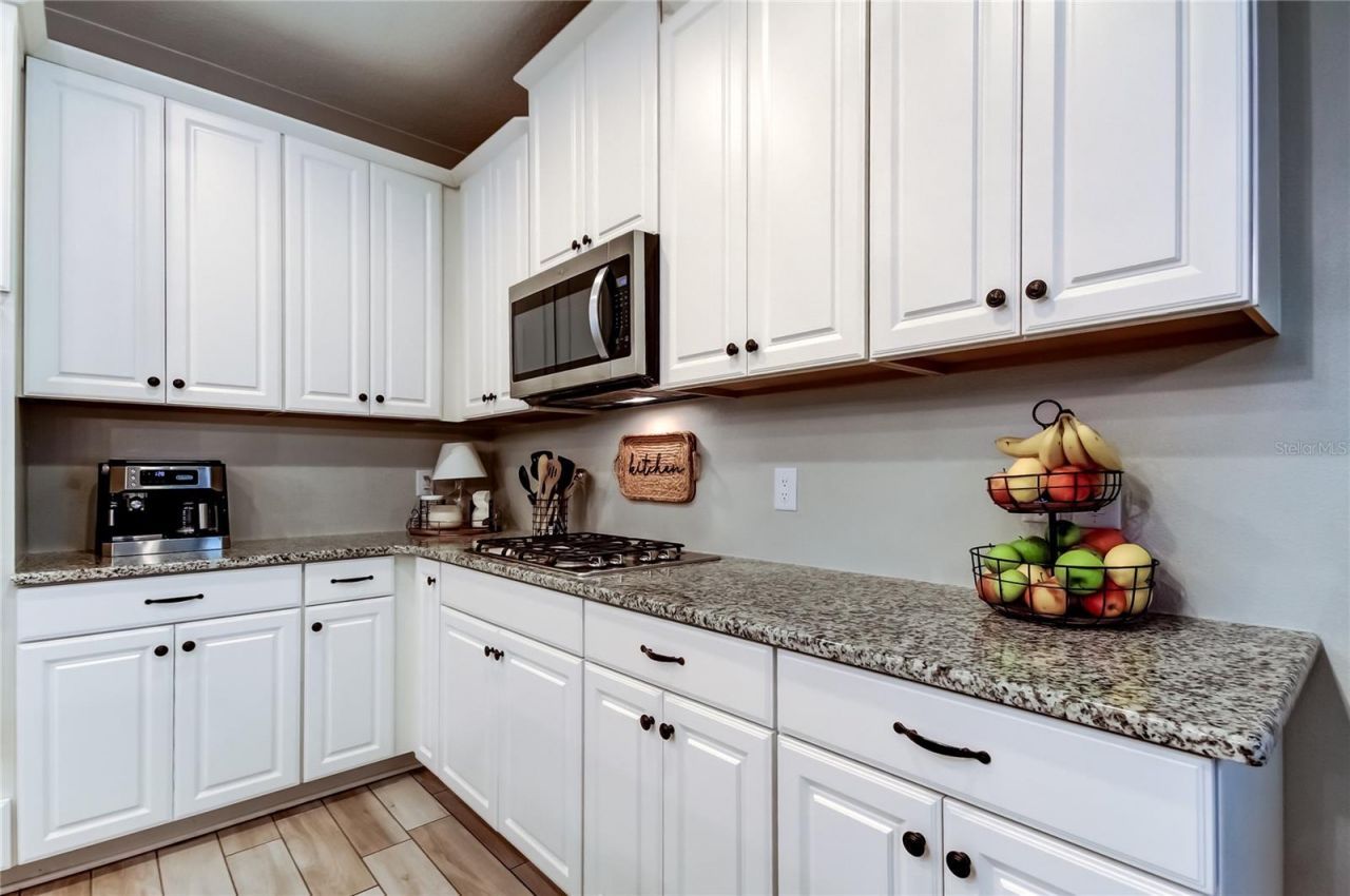 12303 Corkfield Lane , Odessa, FL 33556 Photo