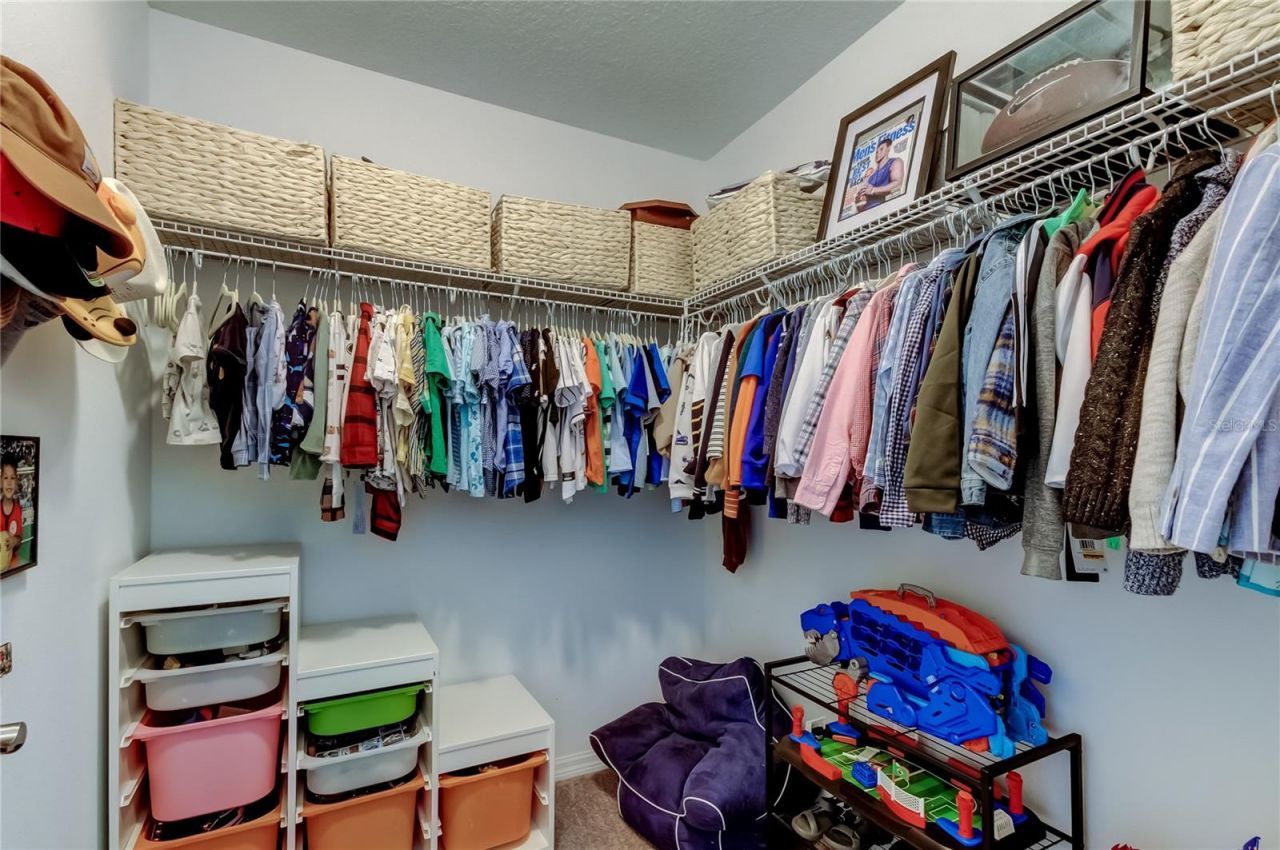 12303 Corkfield Lane , Odessa, FL 33556 Photo