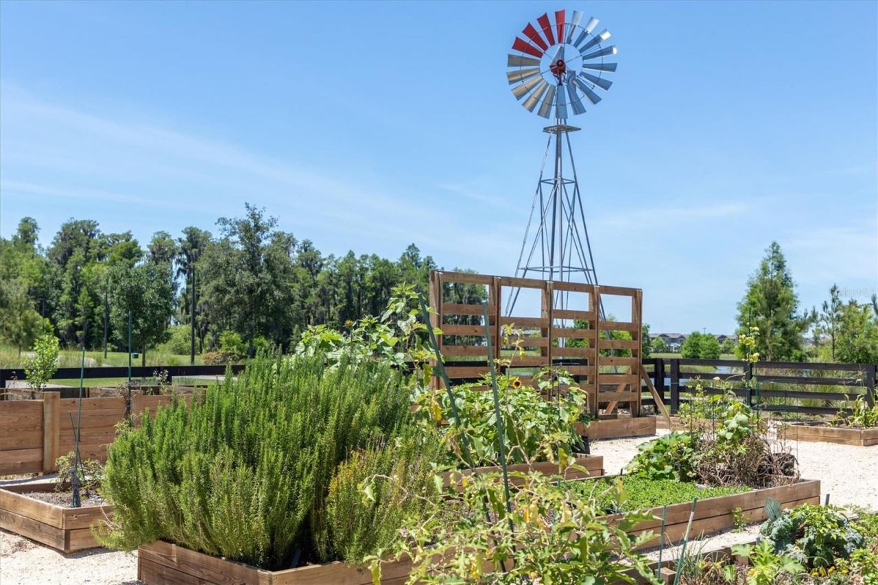 12303 Corkfield Lane , Odessa, FL 33556 Photo