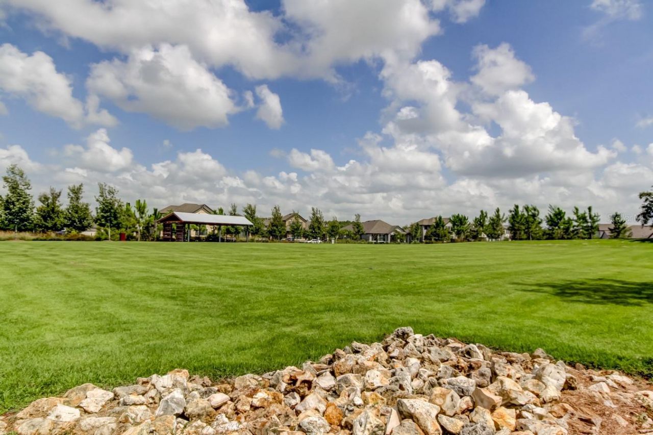 12303 Corkfield Lane , Odessa, FL 33556 Photo