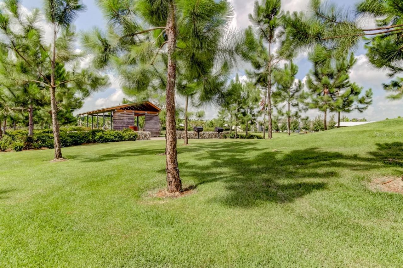 12303 Corkfield Lane , Odessa, FL 33556 Photo