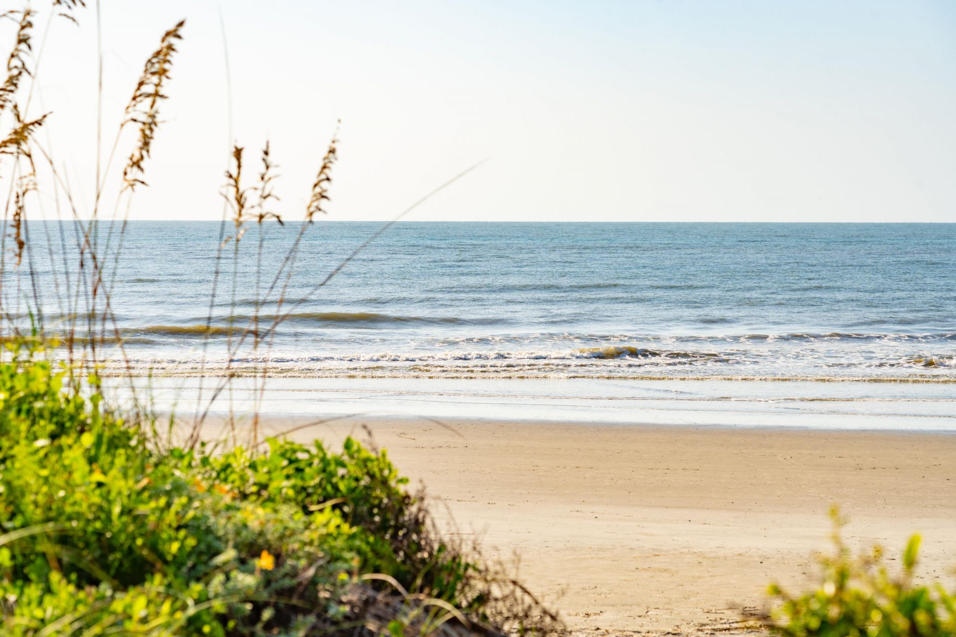 6 29th Avenue Photo 65