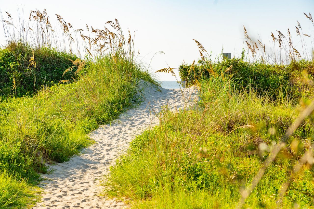 6 29th Avenue Photo 67