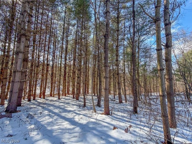 0 Blue Rock Church Road, Chandlersville, OH 43727 Photo 13