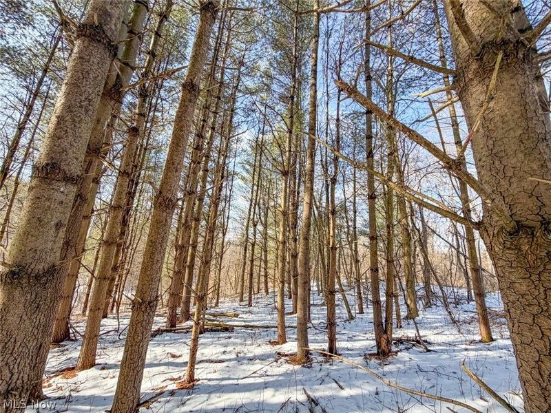 0 Blue Rock Church Road, Chandlersville, OH 43727 Photo 14