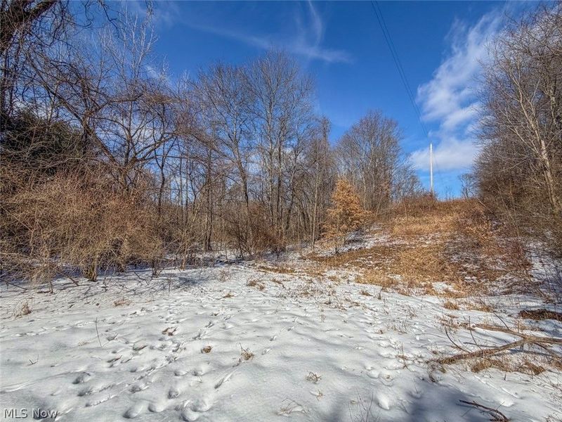 0 Blue Rock Church Road, Chandlersville, OH 43727 Photo 15