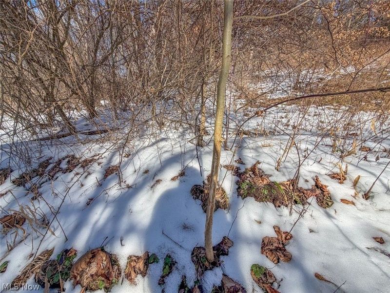 0 Blue Rock Church Road, Chandlersville, OH 43727 Photo 16