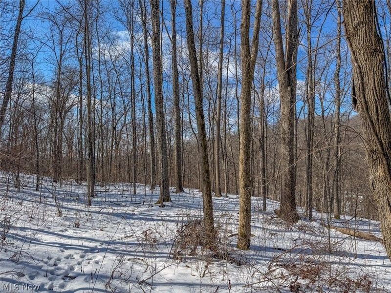 0 Blue Rock Church Road, Chandlersville, OH 43727 Photo 18