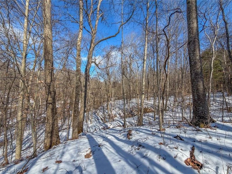 0 Blue Rock Church Road, Chandlersville, OH 43727 Photo 19