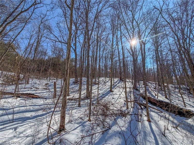 0 Blue Rock Church Road, Chandlersville, OH 43727 Photo 20